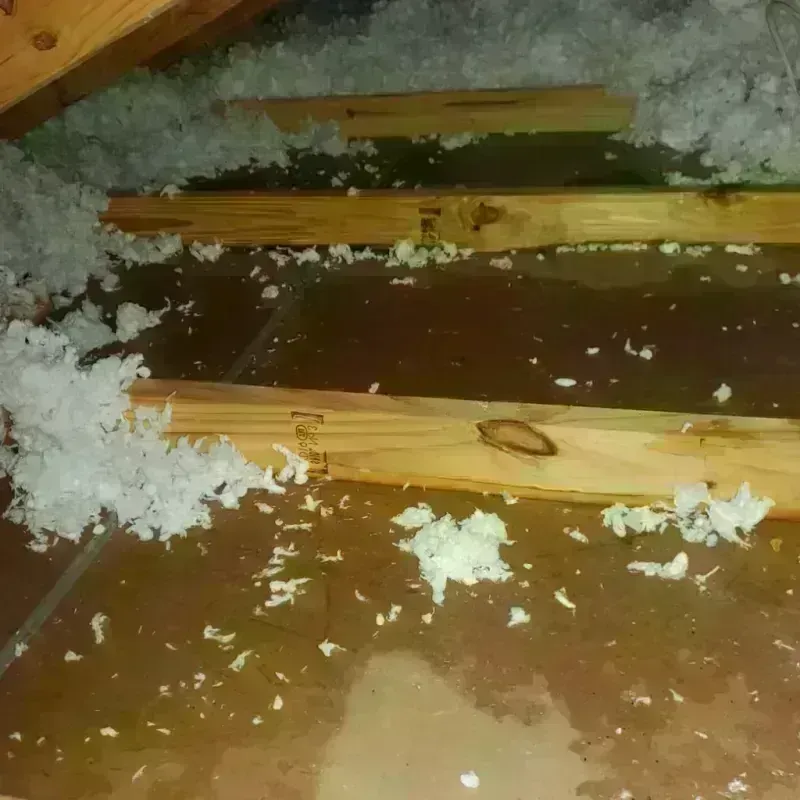 Attic Water Damage in Lincolnton, GA